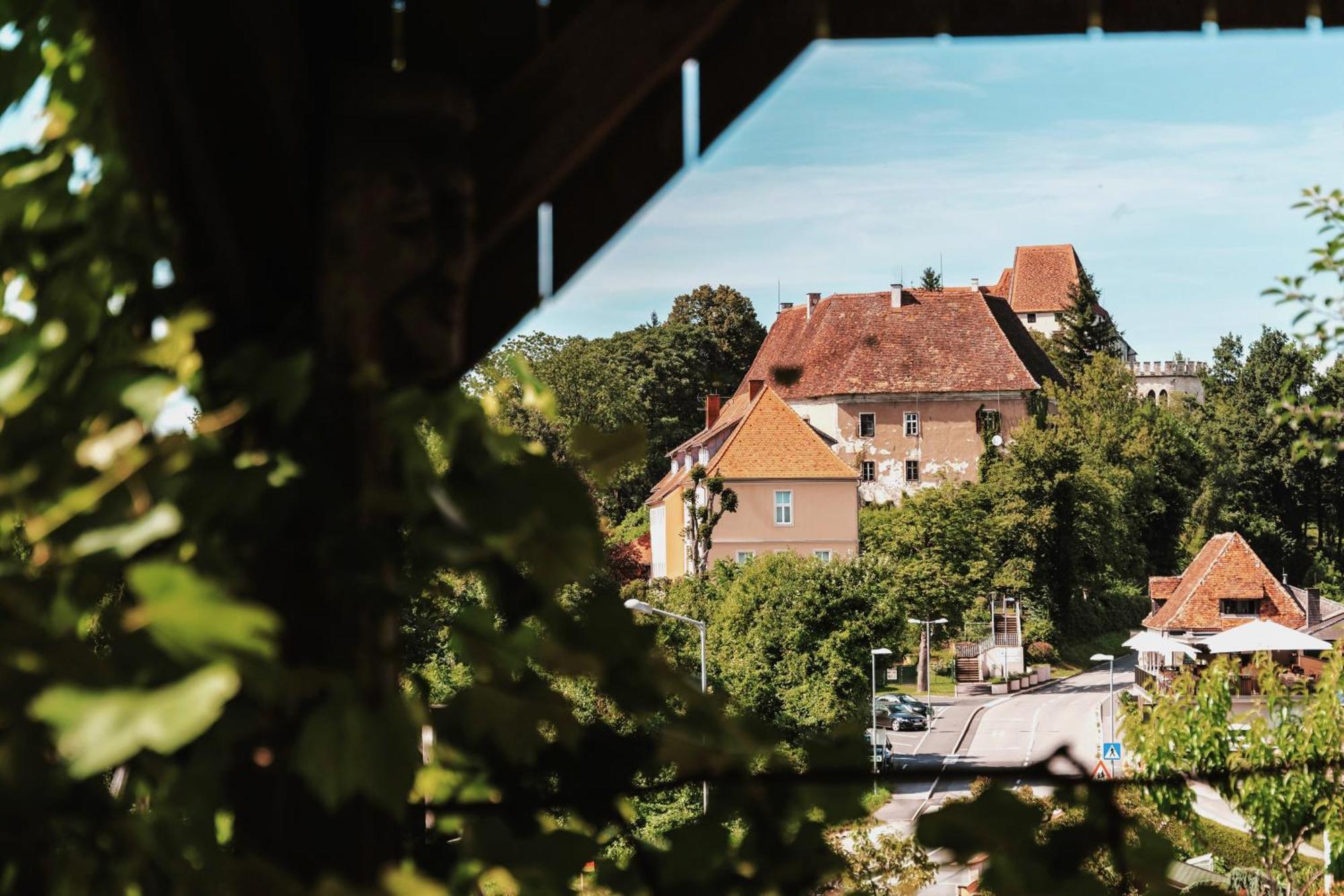 Ferienwohnungen Karin Am Seggauberg Leibnitz Kültér fotó